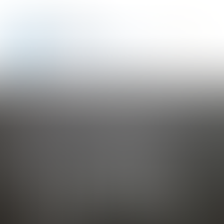 Understanding WIPO’s 2026 Updates