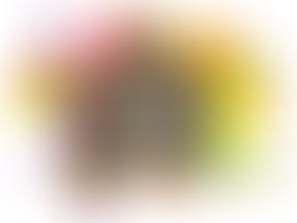 第1回「Starpil インターナショナル・ワキシング・コンテスト」結果速報