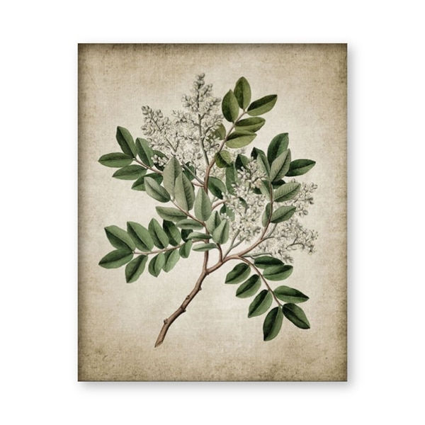 Thumbnail: Green Plant Wall Art Prints Retro Poster