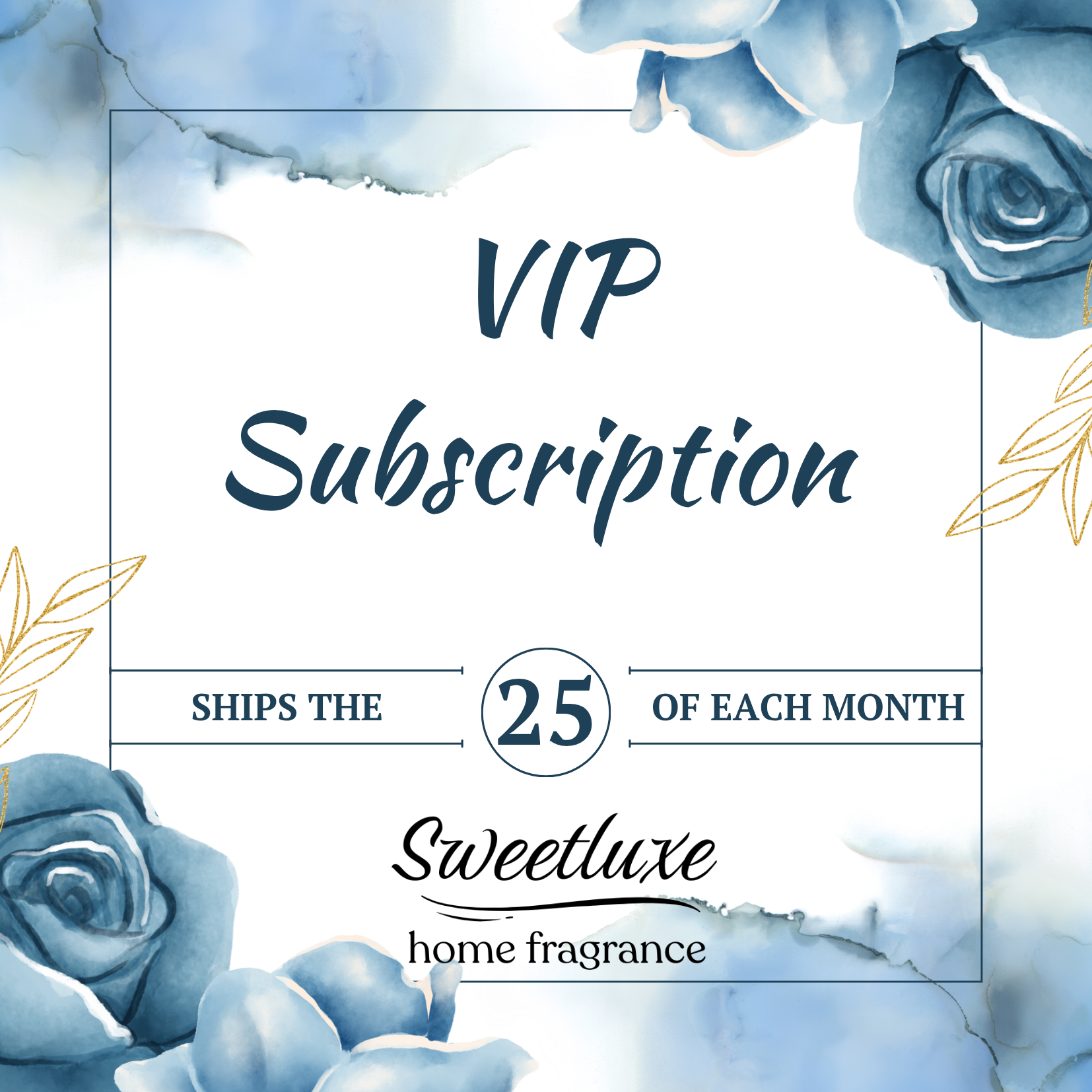 VIP Box Subscription 