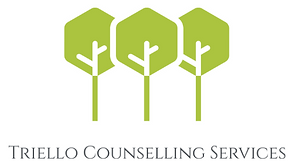 counselling and psychotherapy in Ontario, accessible virutal therapy, providing psychotherapy to all ages, trauma, NIHB, anxiety, depression