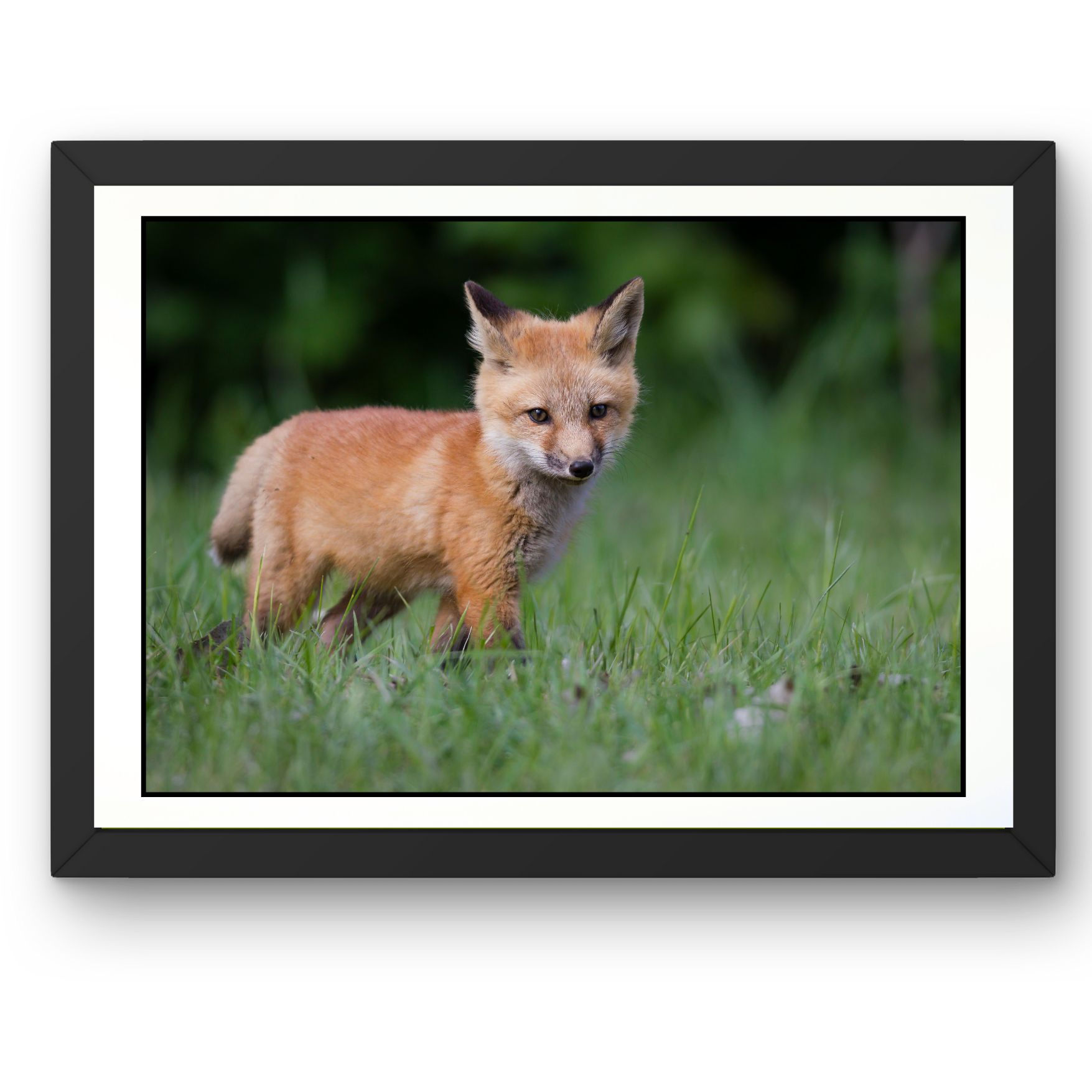 Petite flamme dans les herbes