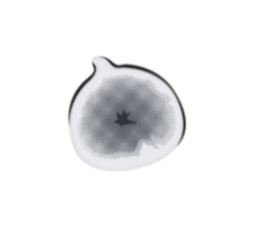 Black and white image of a fig.