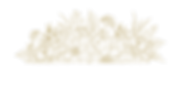 Flowers_Vektoren_CMYK.png