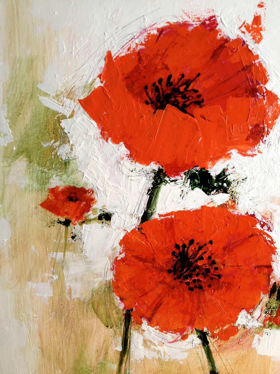 Poppies