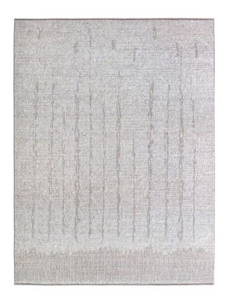 Avita Flash Silverback.jpeg