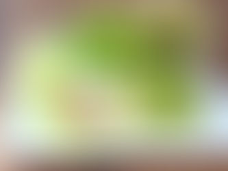 AVOCADO AND TURKEY LETTUCE WRAP