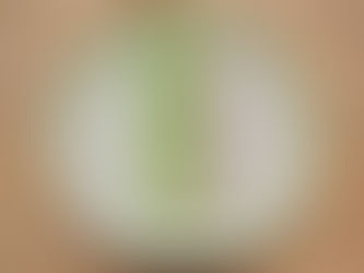 HUMMUS TURKEY ROLL‑UP