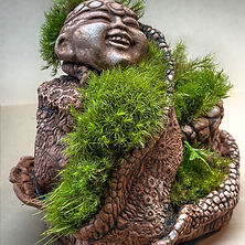 studio-tsubo-mothers-blanket-dual-biome-planter.jpg