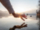 istockphoto-1299754707-612x612.jpg