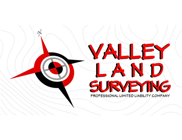 vls logo-SHIRT.jpg