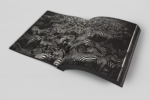 CLOSER | tomasz gudzowaty