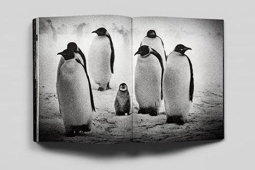 CLOSER | tomasz gudzowaty