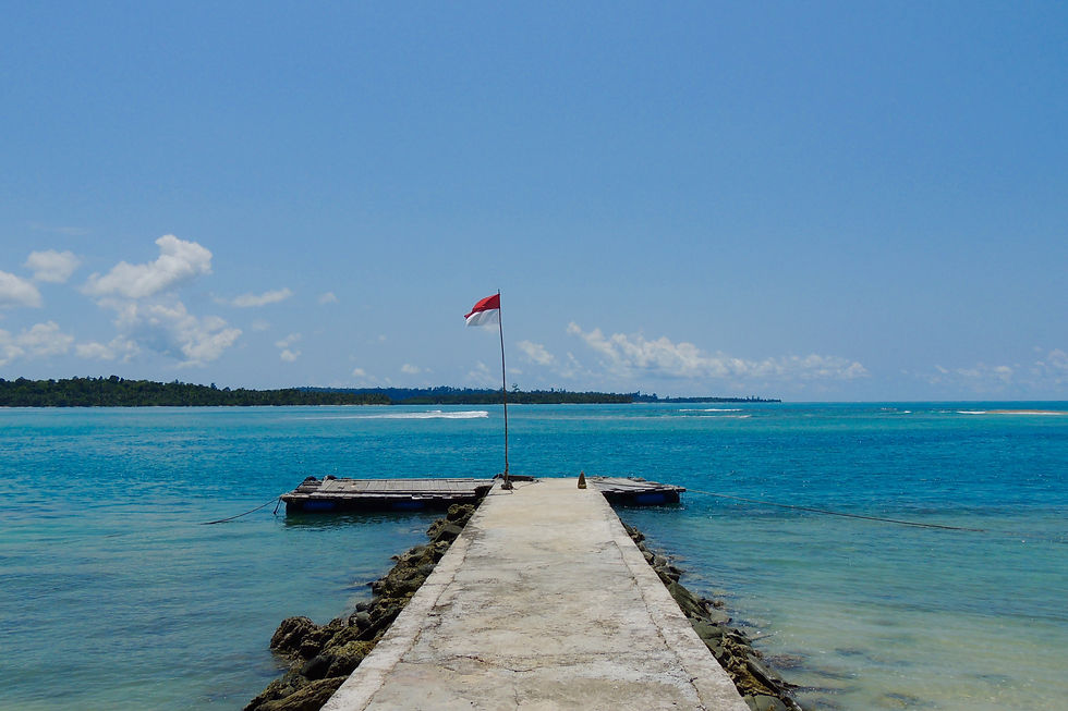 DSCN3747.jpg