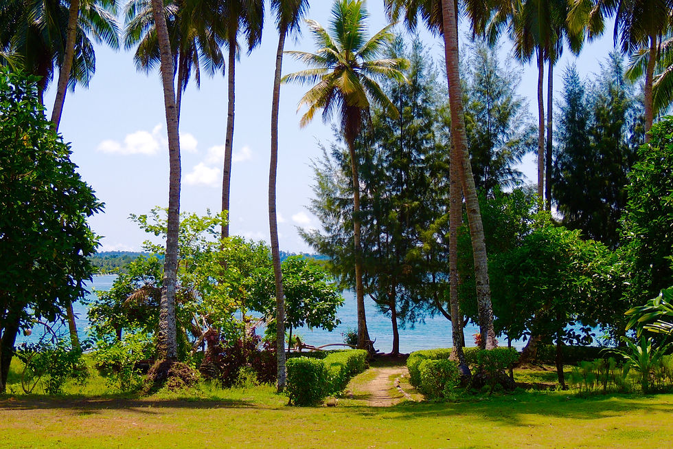 DSCN3719.jpg