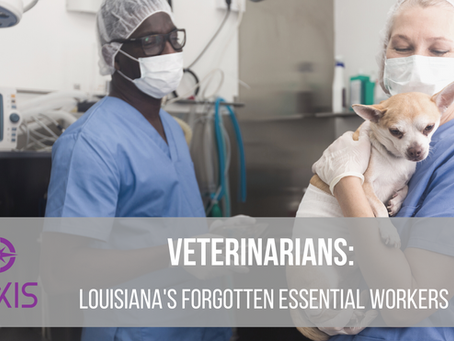 Veterinarians: Louisiana's Forgotten Essential Workers