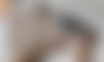 Challenges Veterinary Practices Face with Existing Learning Management Systems