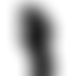 Sur la possibilité d'interdire le port visible de tout signe politique, philosophique ou religieux