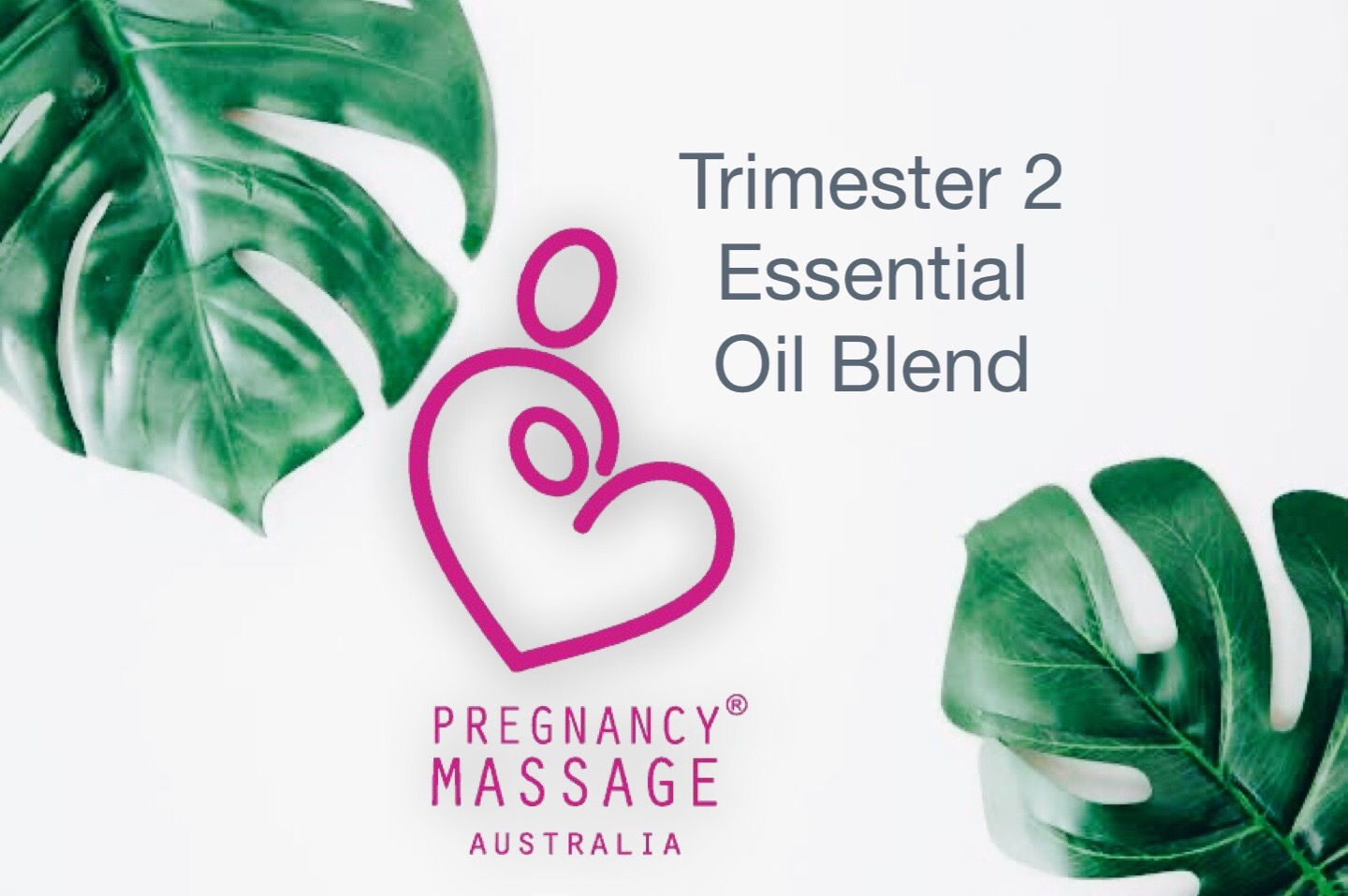 Trimester 2 Essential Oil Blend 