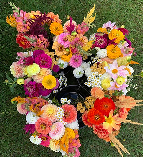 dahlia bouquet.jpeg