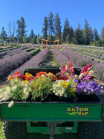 flowers wagon.jpeg