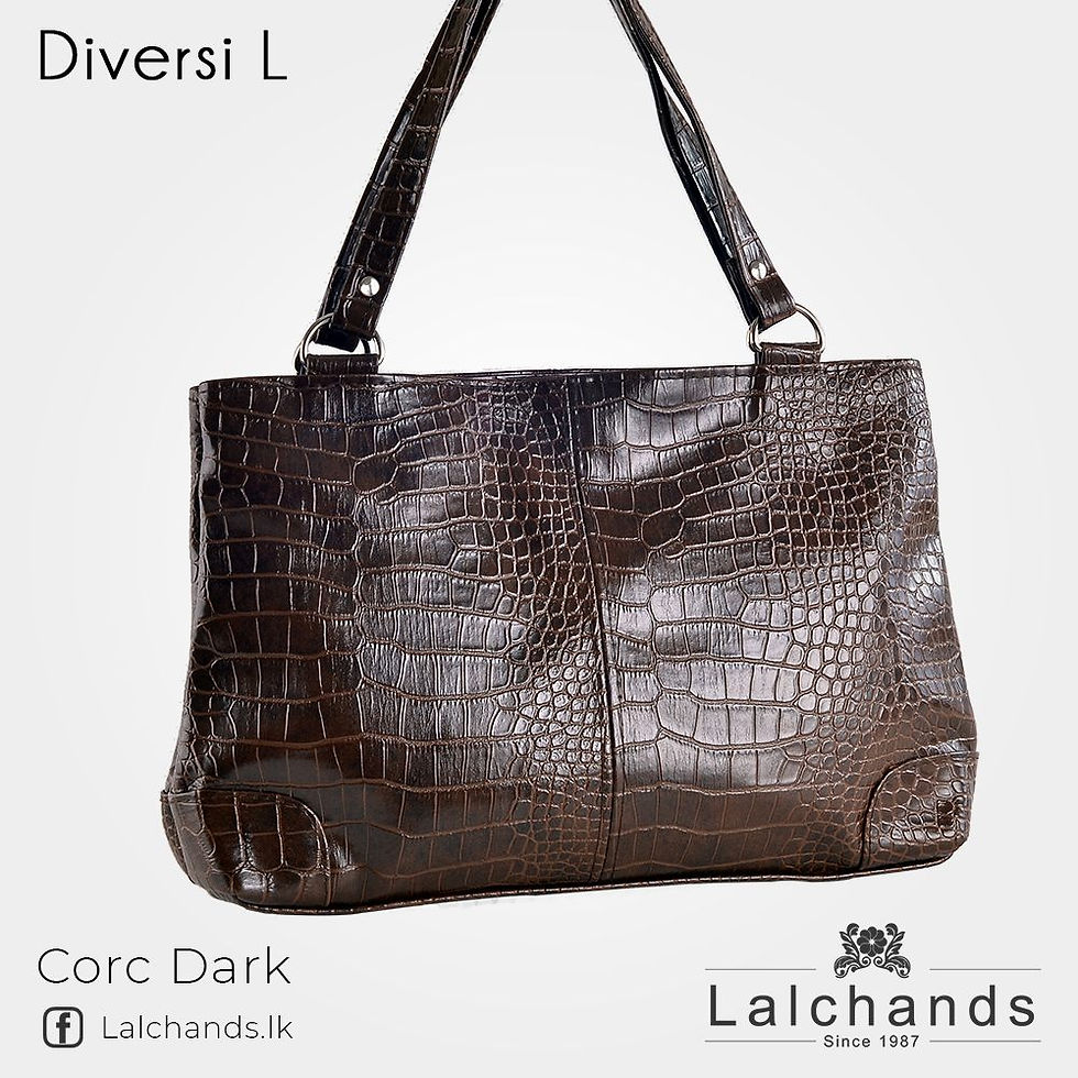 Thumbnail: Diversi Large