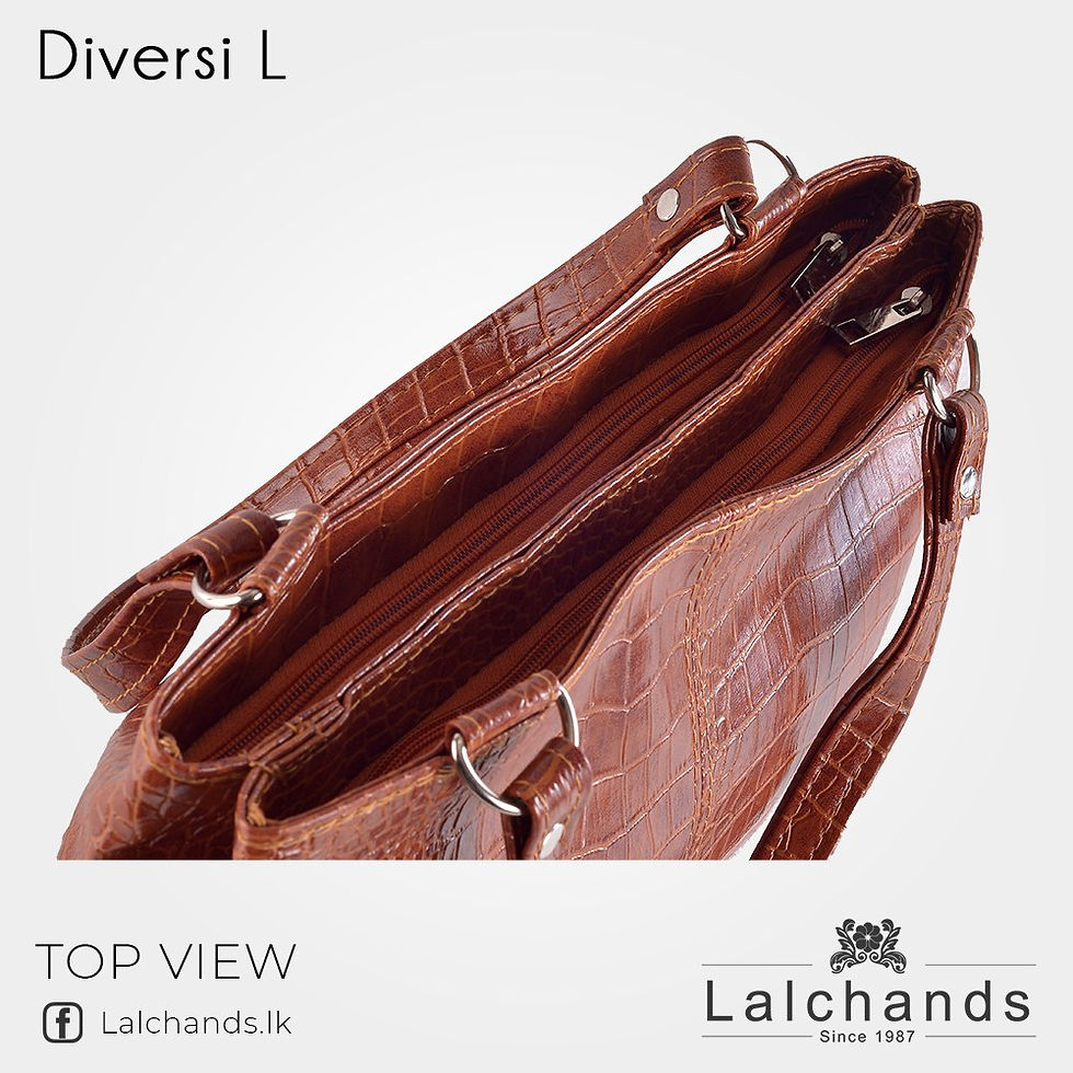 Thumbnail: Diversi Large