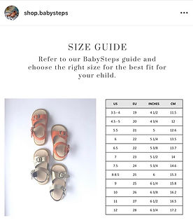 bs size guide.jpg