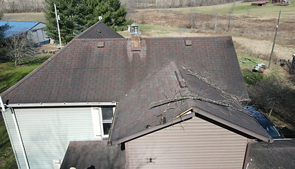 Tree branches causing damage to a roof.