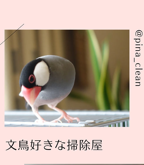 PINA