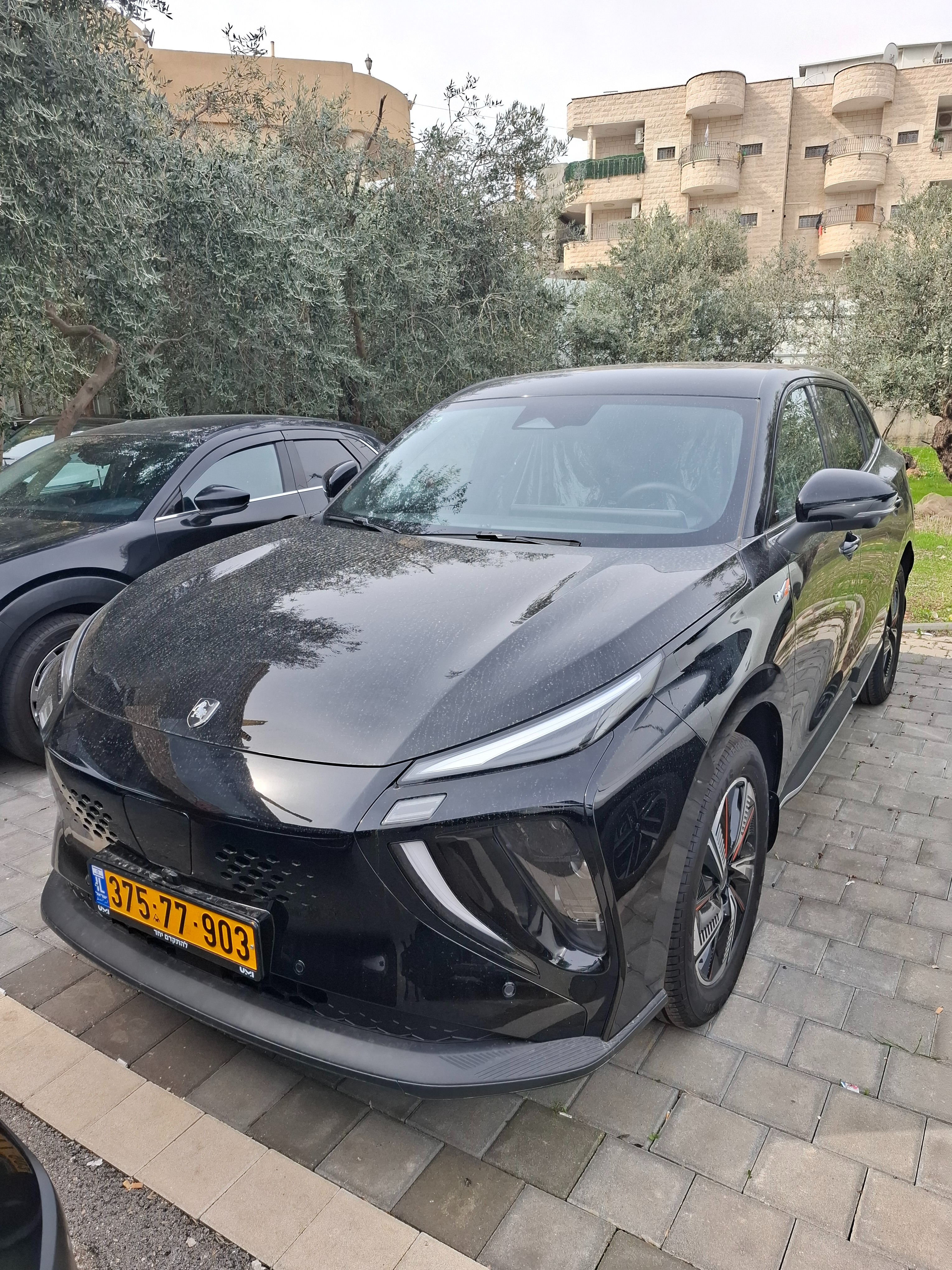 תמונות רכב פורתינג FRIDAY