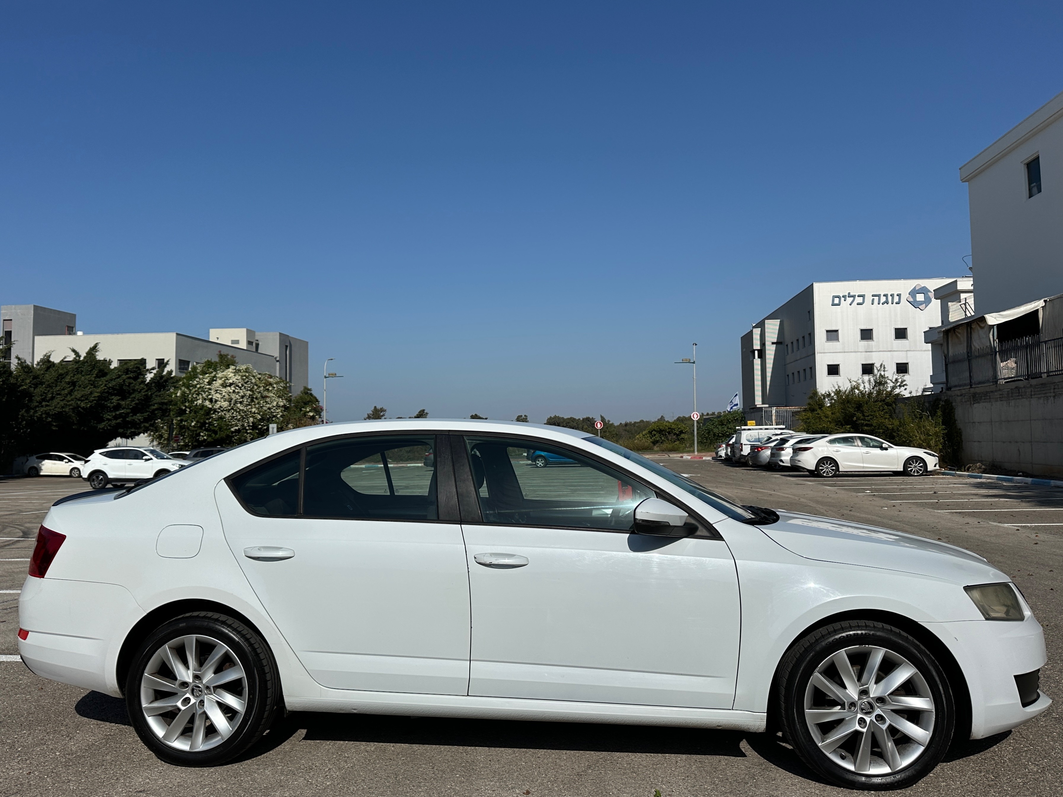 תמונות רכב סקודה אוקטביה