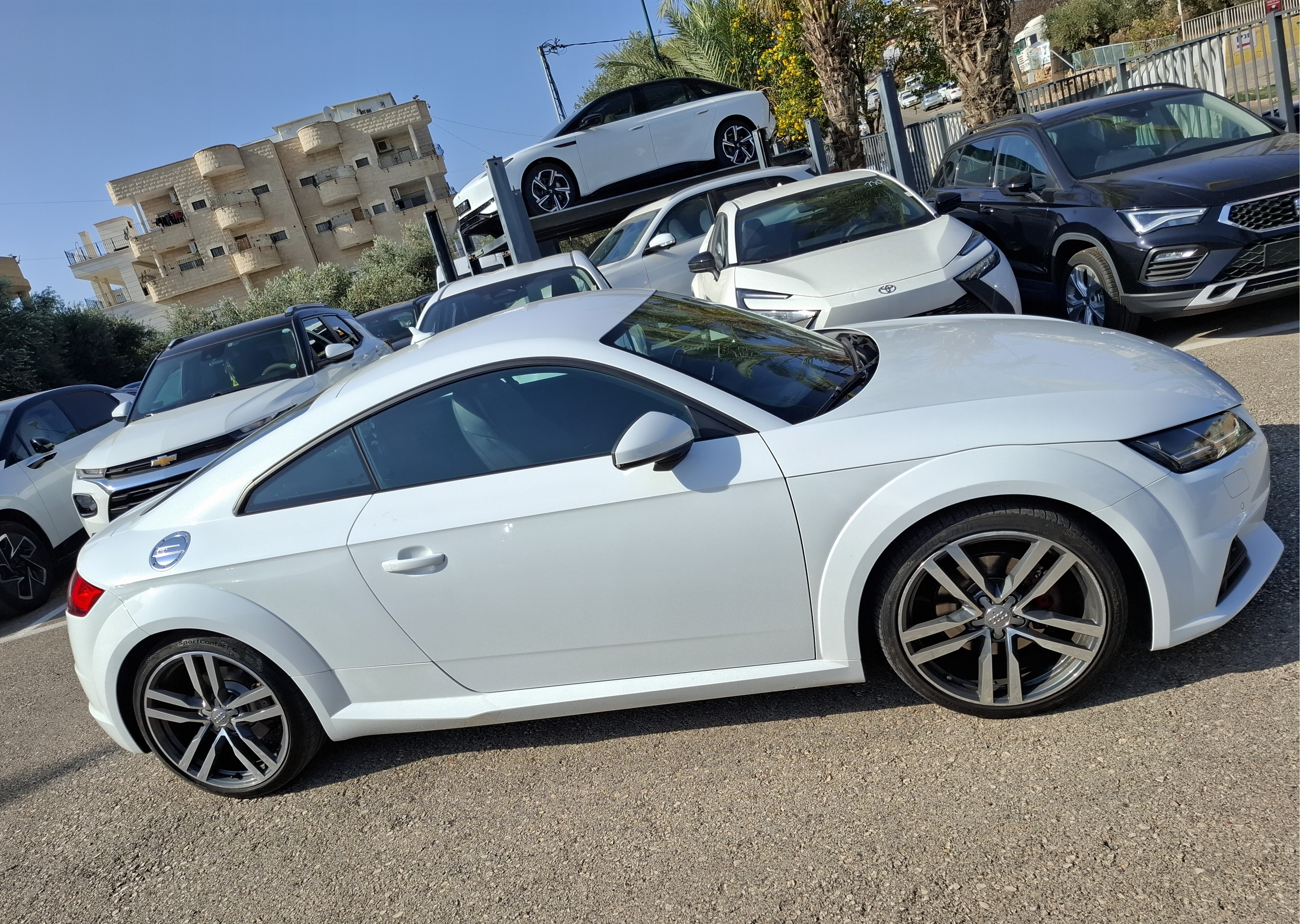 תמונות רכב אאודי TT