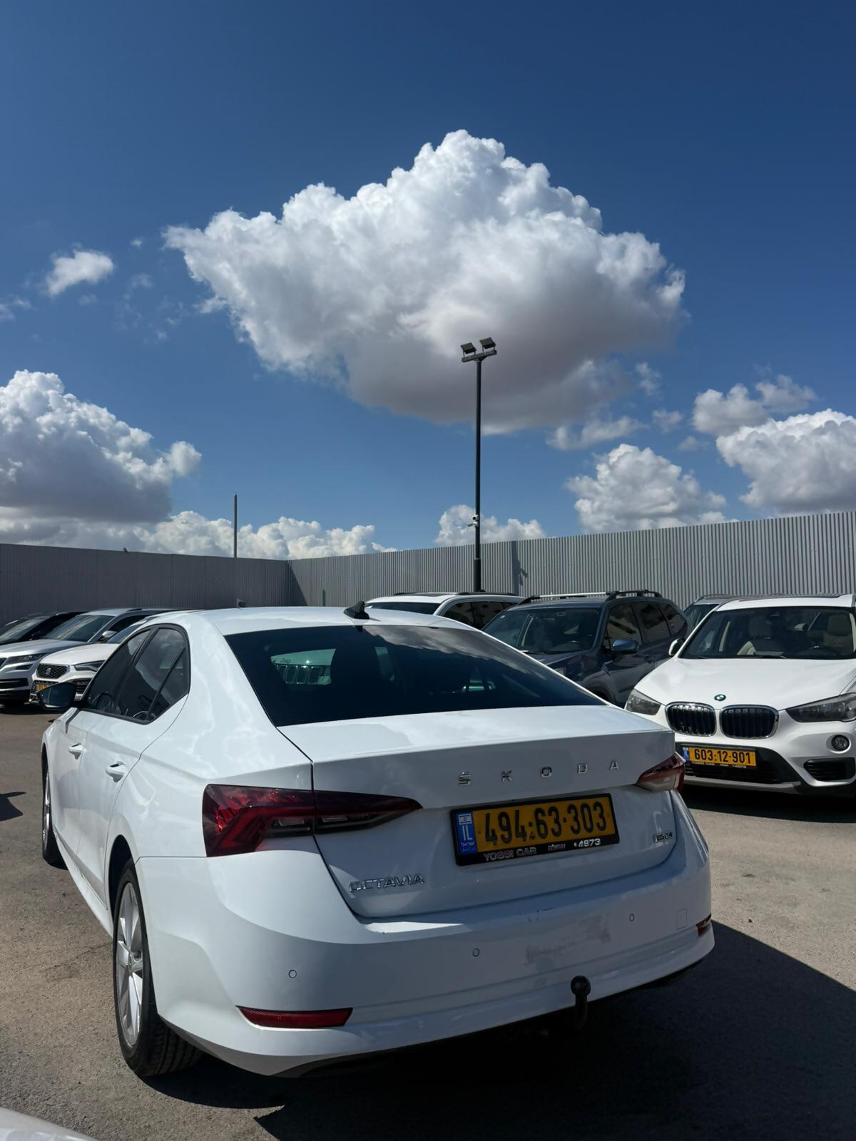 תמונות רכב סקודה OCTAVIA