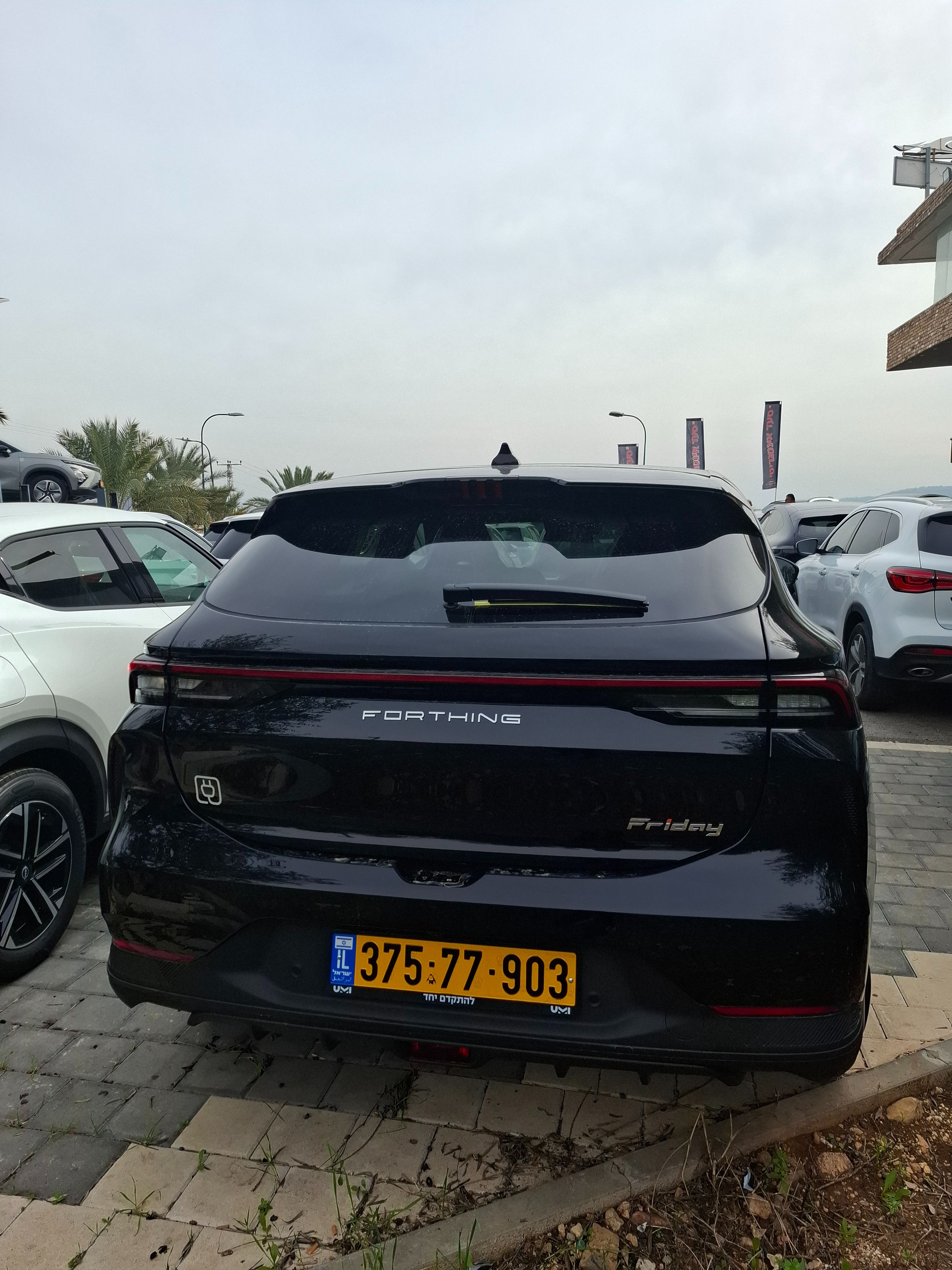תמונות רכב פורתינג FRIDAY
