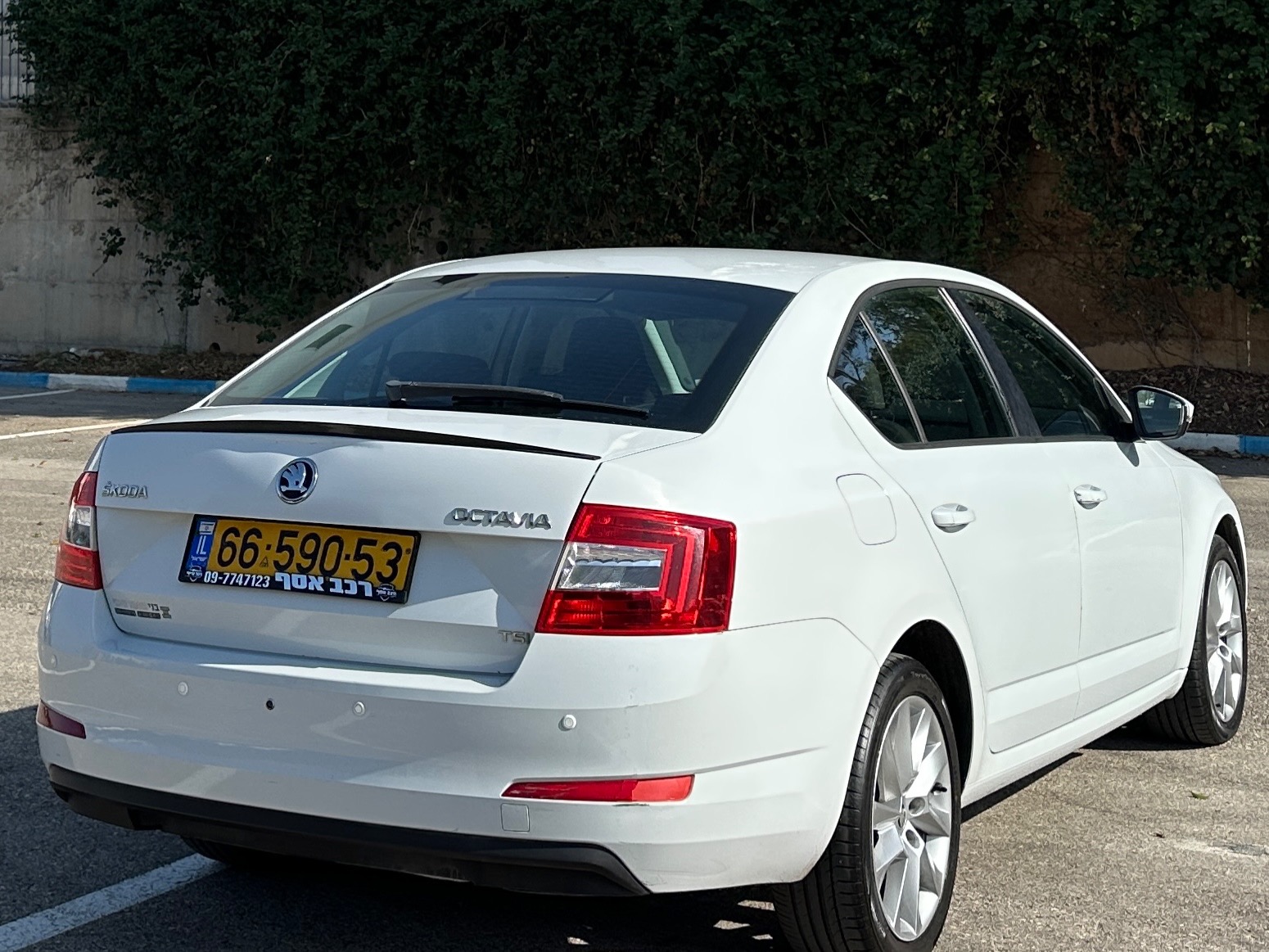 תמונות רכב סקודה אוקטביה