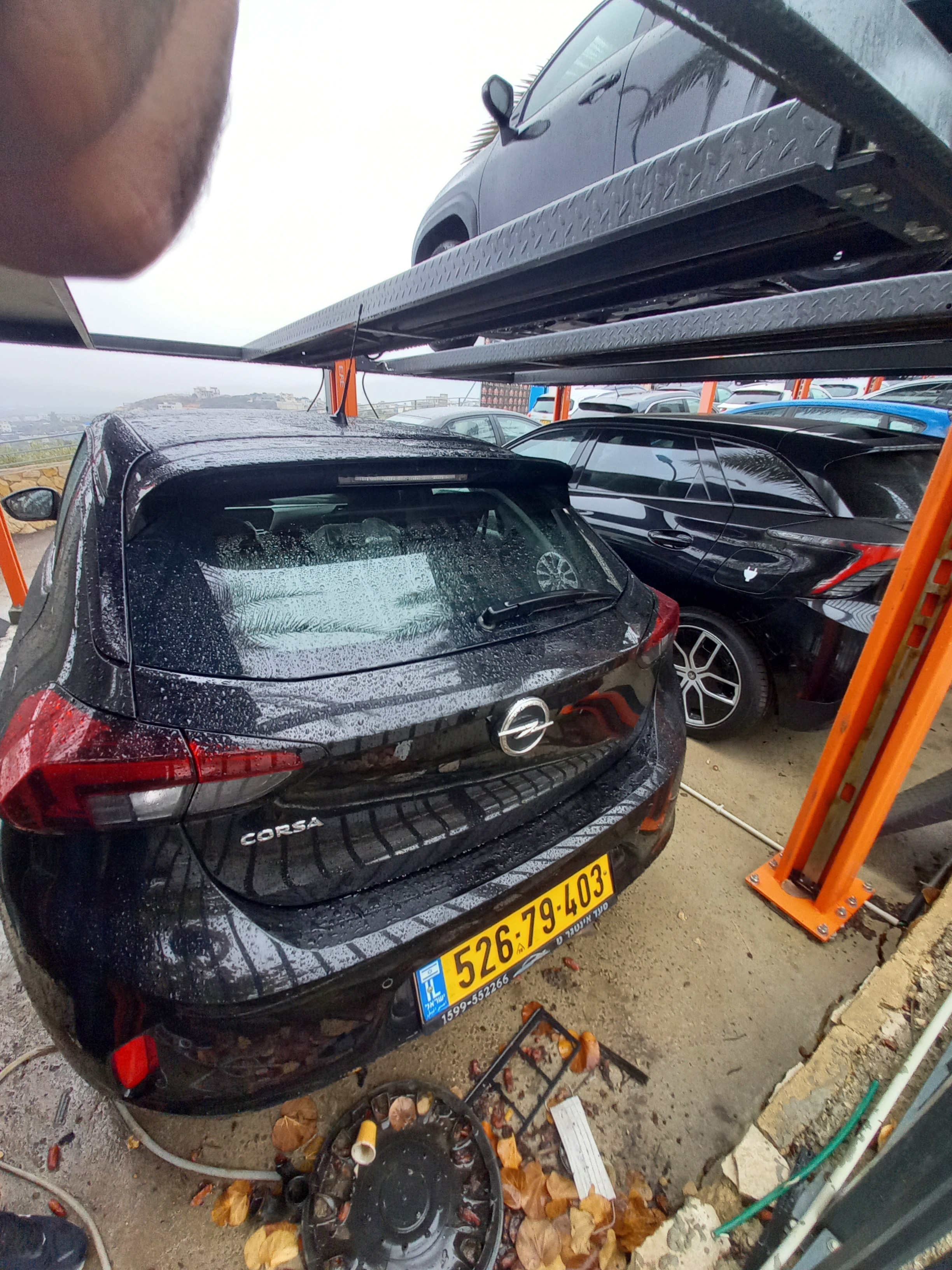 אופל, קורסה