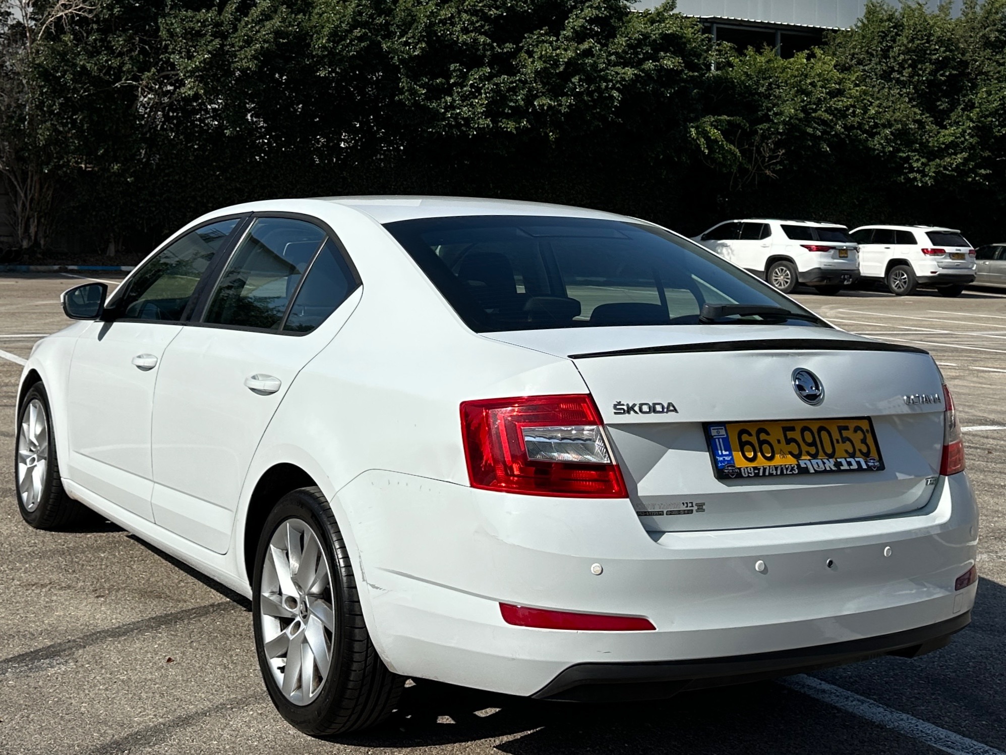 סקודה, אוקטביה