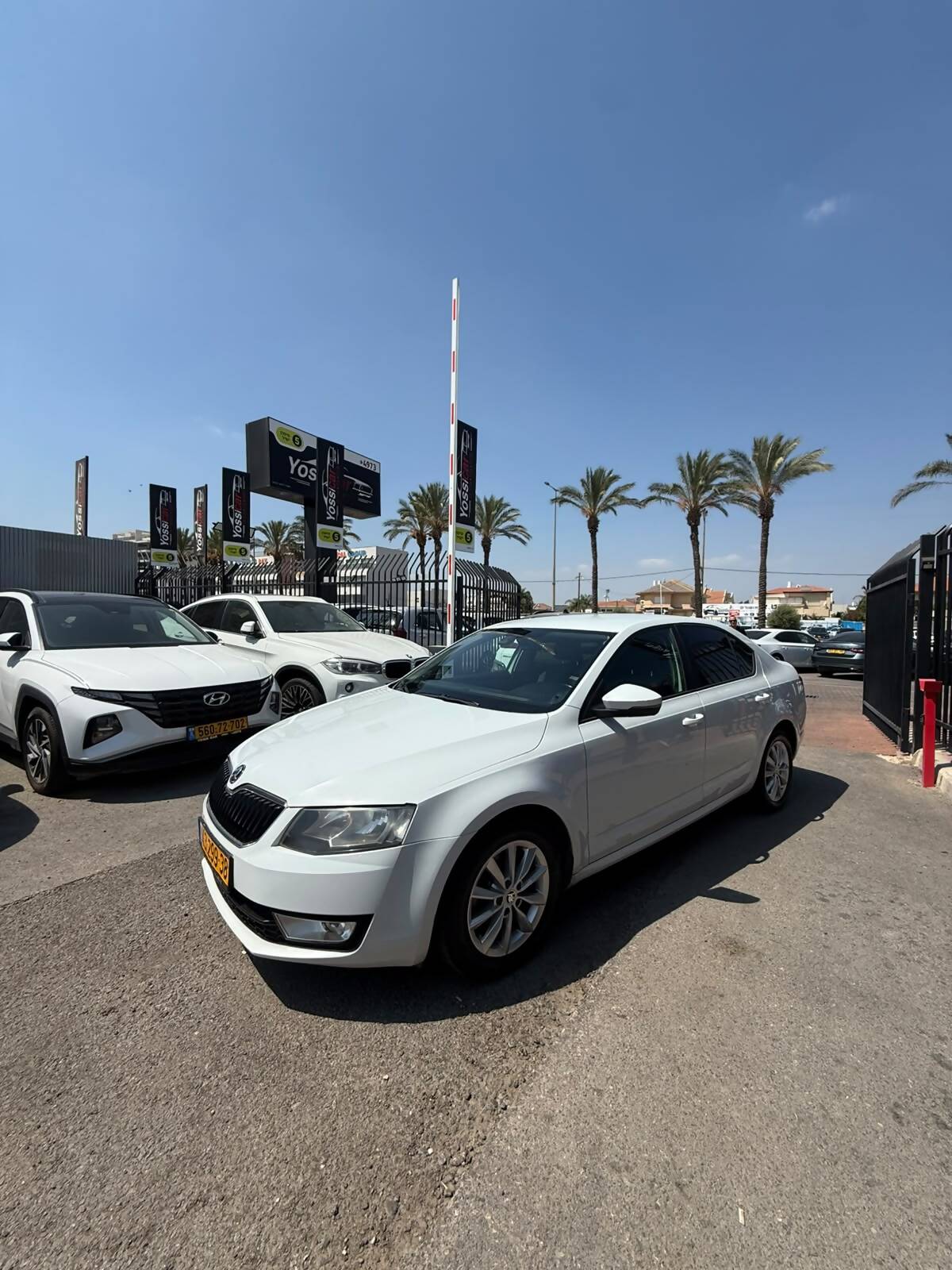 סקודה, OCTAVIA