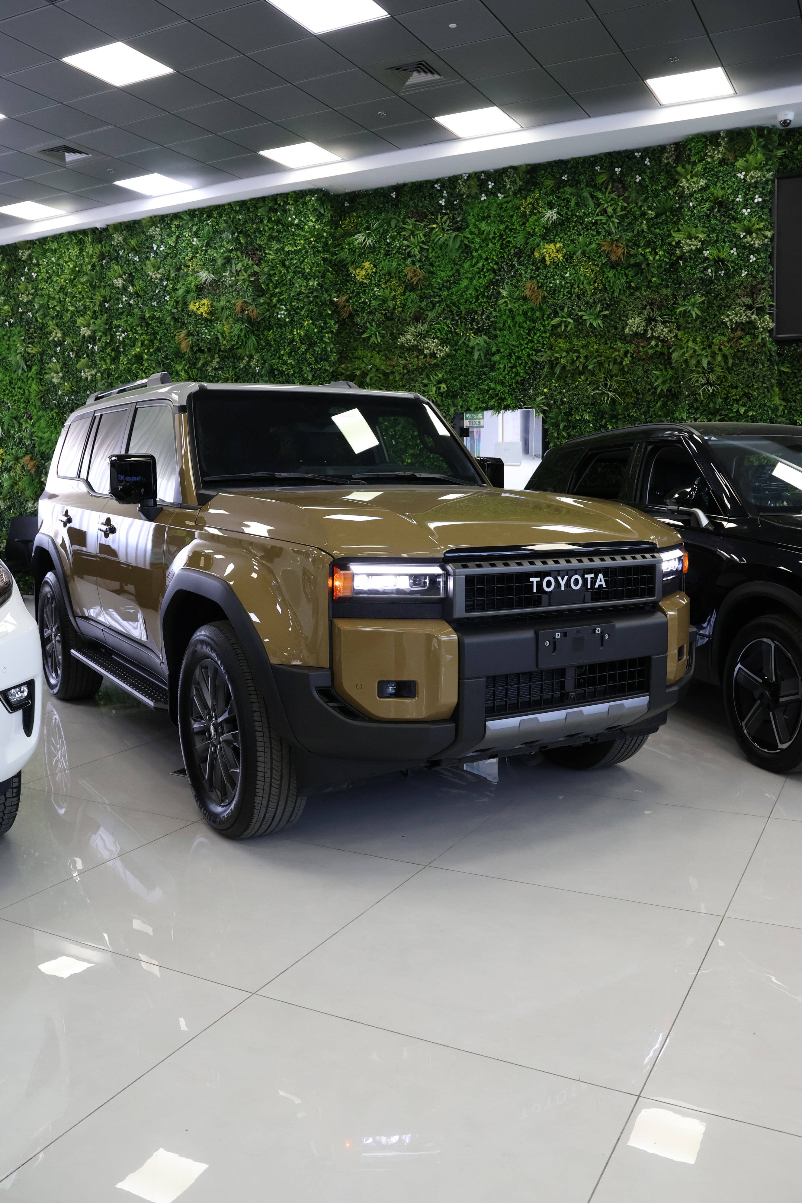 a2ca27558576e5942e79ca35ffad05eb_Expires