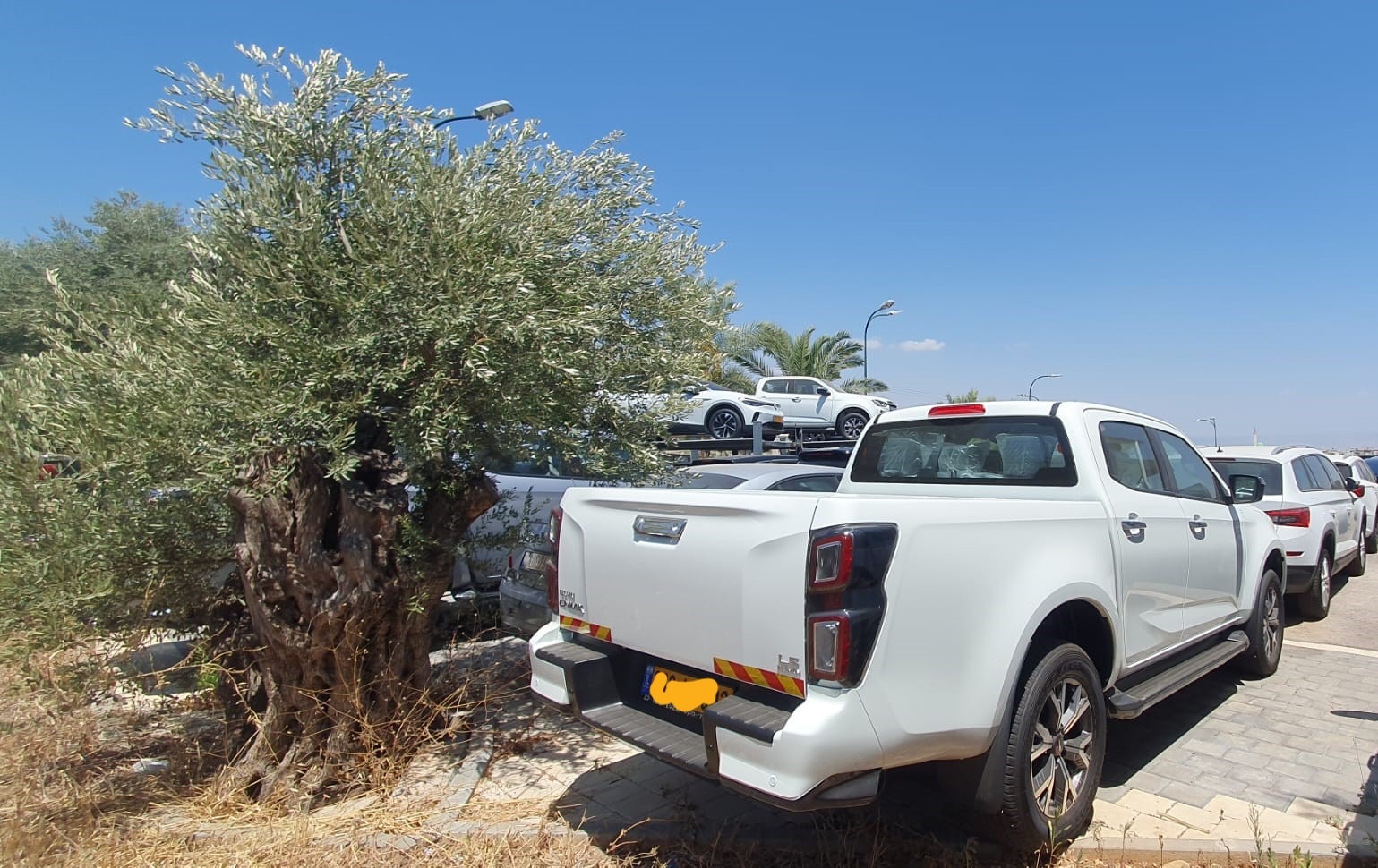 תמונות רכב איסוזו D-Max