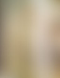 I EN L'ART ESPANYOL ?