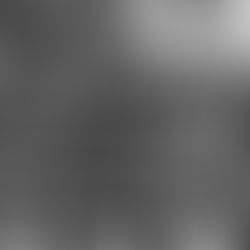 FEMINISME A CASA NOSTRA