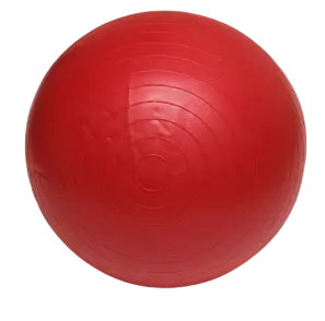 Pelota de Pilates 55cm-75cm