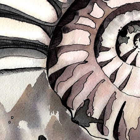 Thumbnail: "Spiral Echo" Fine Art Print