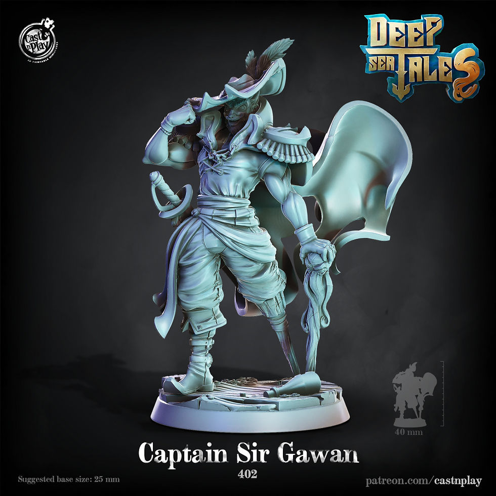 Captain Sir Gawain