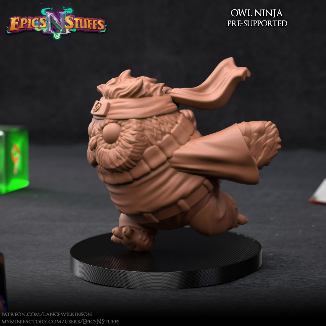Owlkin Ninja