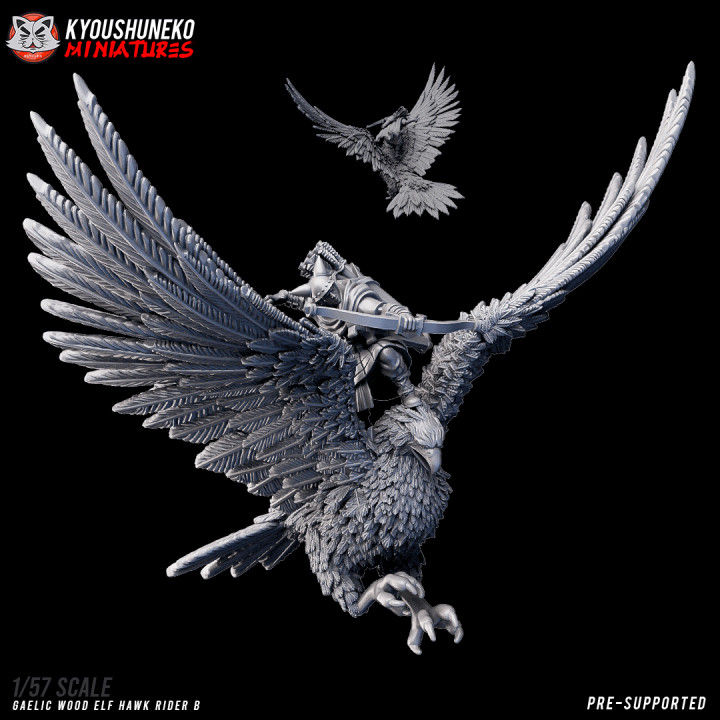 Thumbnail: Elf Hawk Rider - Gaelic Woodelf