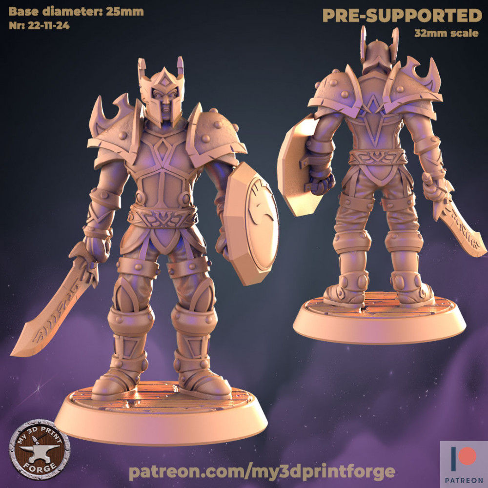 Alliance Valor Warrior - 2 poses - Standing or Attacking