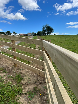 Post and Rail Fence - Levin